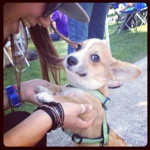 Meet your Posher, Danielle